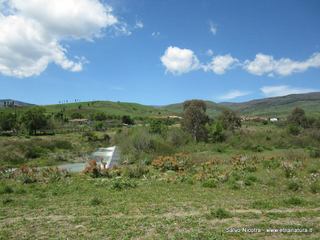 Torrente Saracena